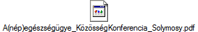 A(np)egszsggye_KzssgKonferencia_Solymosy.pdf